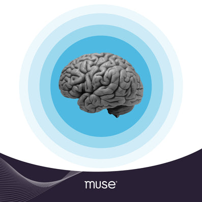 2024 Muse Brain Health Report Unveils New Insights into Cognitive Well-being