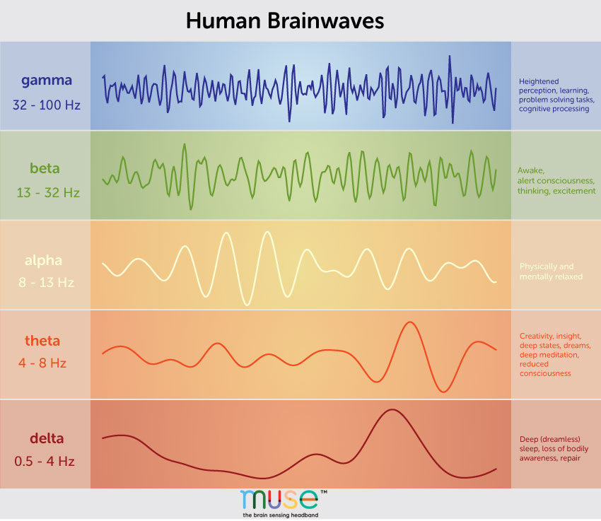 brainwaves, brain waves, brainwave frequencies, alpha brain waves